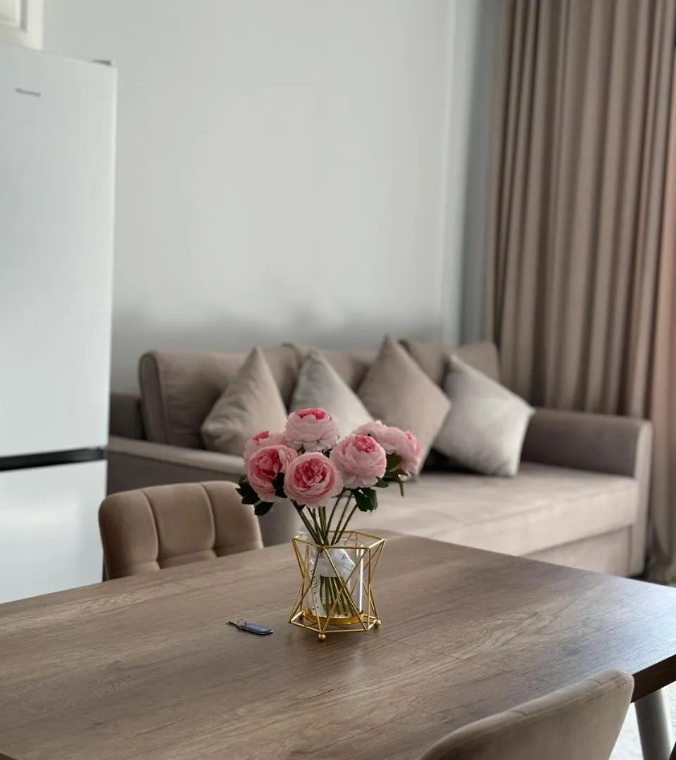 Amir 76 Apartment Almaty